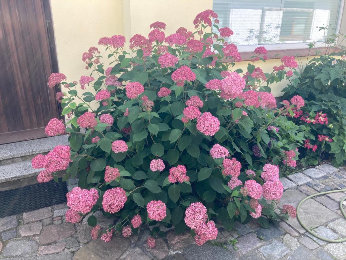 Ferienhaus Stralsundia 외부 사진